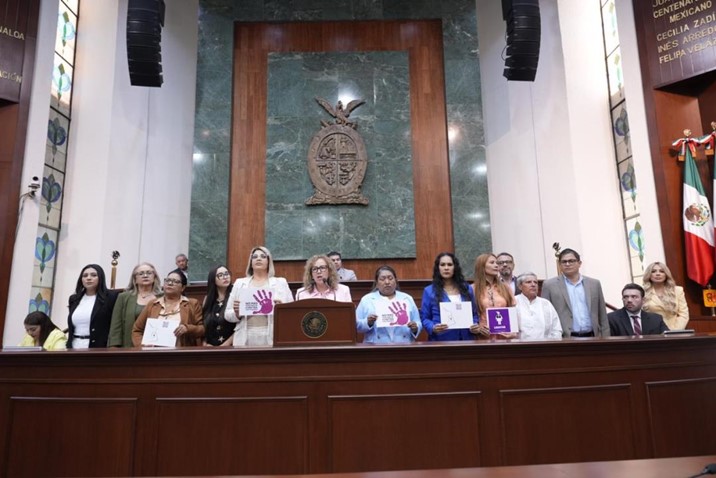 Diputada denuncia Guadalupe Palma León por violencia política de género 