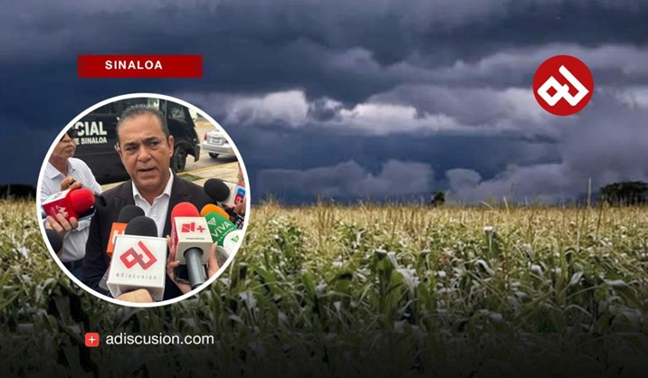Lluvias en Sinaloa son favorables para el campo: SAyG