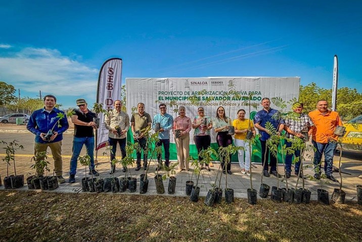 Plantan 200 árboles nativos en Salvador Alvarado para fortalecer áreas verdes