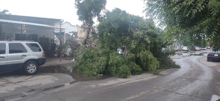 Tormenta sorprende a Culiacán y activa respuesta municipal inmediata