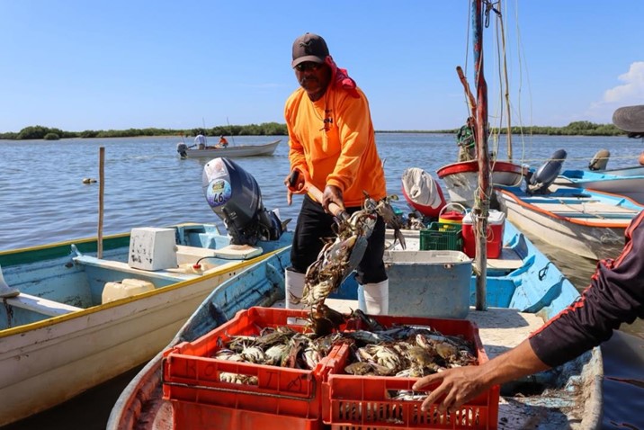 Sinaloa abre la temporada de jaiba con llamado a la pesca responsable