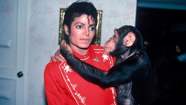¿Qué pasó con Bubbles, el chimpancé de Michael Jackson?