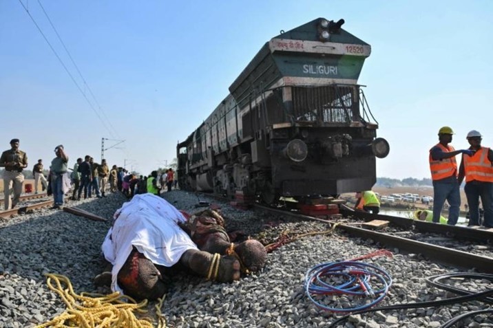  Mueren siete elefantes arrollados por un tren en India
