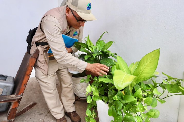 Alertan por riesgo de dengue y llaman a eliminar criaderos