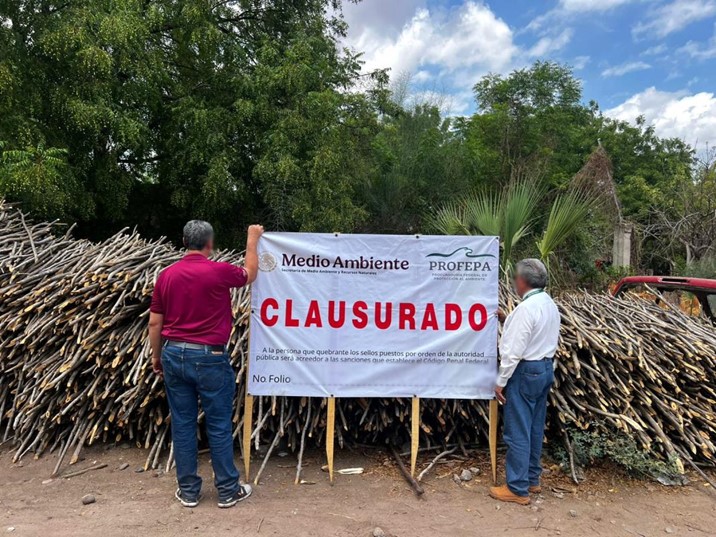  Profepa clausura centro de almacenamiento forestal irregular en Sinaloa municipio