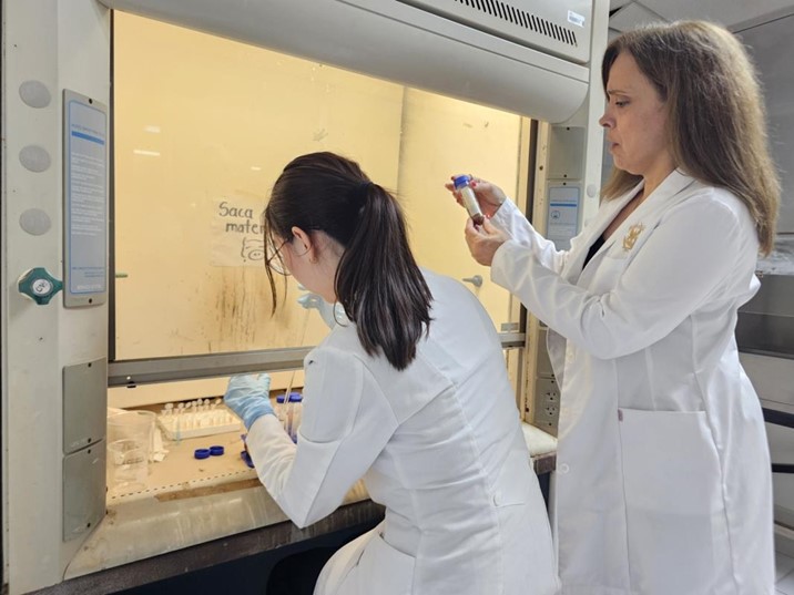 UAS patenta innovación con amaranto para enriquecer alimentos de consumo diario