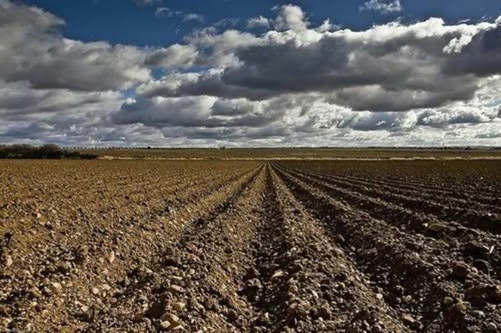 Navolato advierte posible reducción de hasta 30% en superficie sembrada