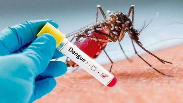 Aumentan a 240 los casos de dengue en Sinaloa y prevén su crecimiento