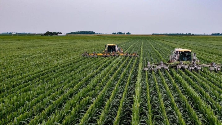 Tecnificación hidroagrícola impulsará rendimiento del maíz en Sinaloa