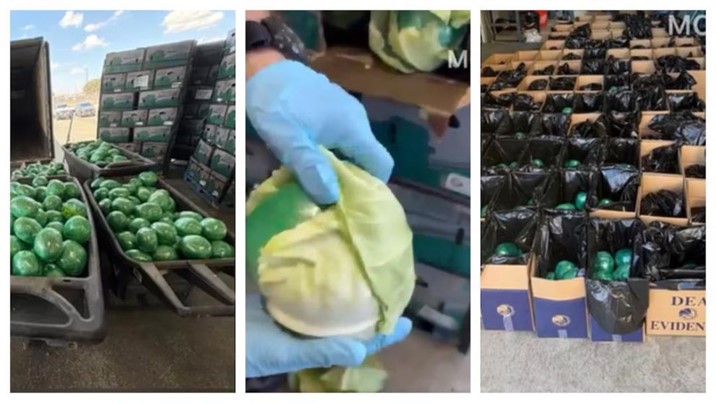Aseguran más de 900 kilos de metanfetamina ocultos entre repollos