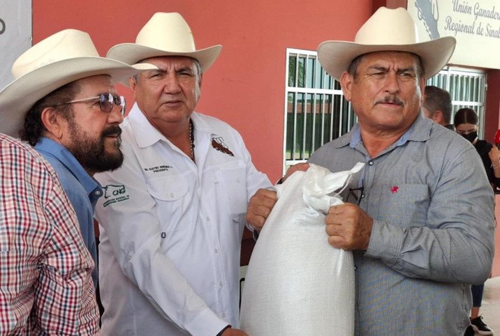 Inician entrega de 53,500 costales de semilla de sorgo a ganaderos de Sinaloa