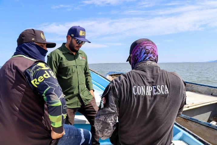 Llaman a respetar la veda del camarón en todo Sinaloa