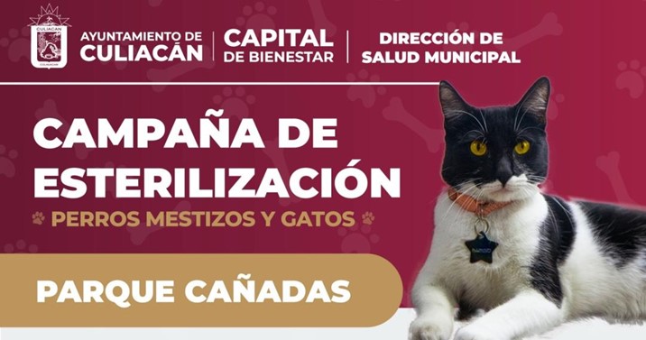 Promueven la tenencia responsable con esterilizaciones gratuitas en Culiacán