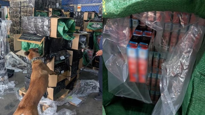 Golpe al mercado negro: aseguran 60 toneladas de cigarros falsificados