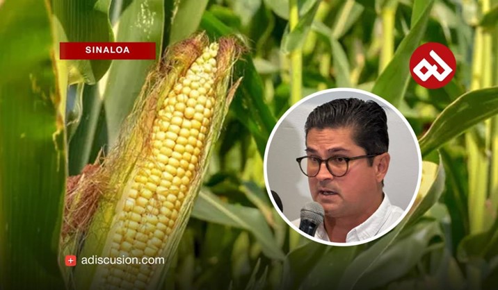 Este año continuarán tierras agrícolas sin sembrar en Culiacán: AARC