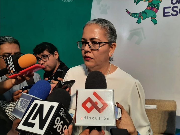 No hay que generar un desorden al interior de la UAS, dice Domínguez Nava