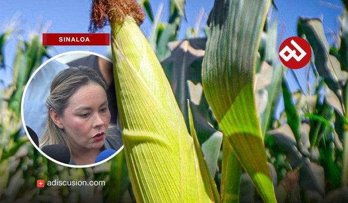 2027 será una “buena temporada” para el campo sinaloense: gobernadora