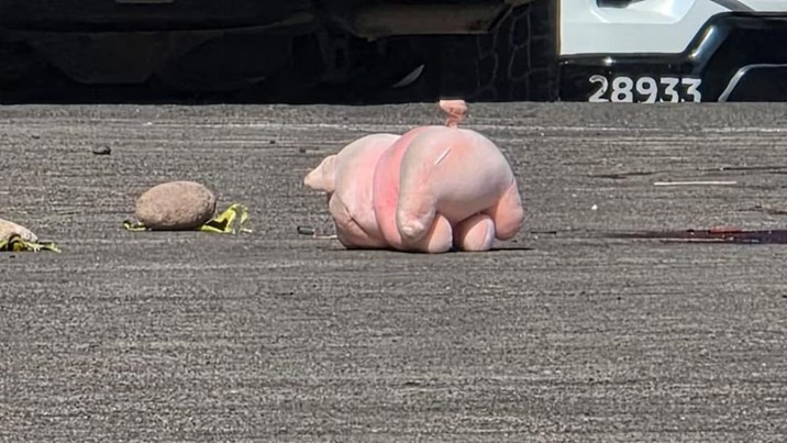 De Culiacán a Tecate: cerdito rosa reaparece en escena del crimen en Baja California