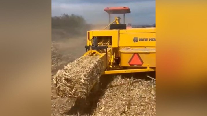 Ganaderos de Sinaloa ya cuentan con nueva maquinaria para producir pacas