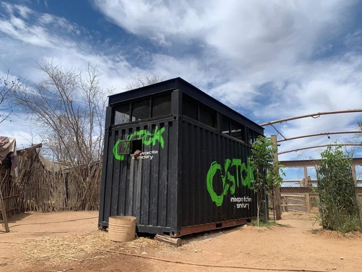 Primeros ejemplares reubicados de Ostok Sanctuary se adaptan con éxito en Bioparc El Encanto