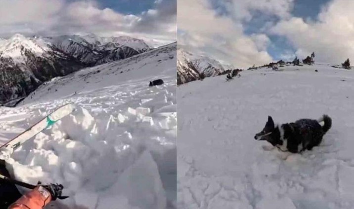 Esquiadora provoca aterradora avalancha y queda atrapada con su perrito