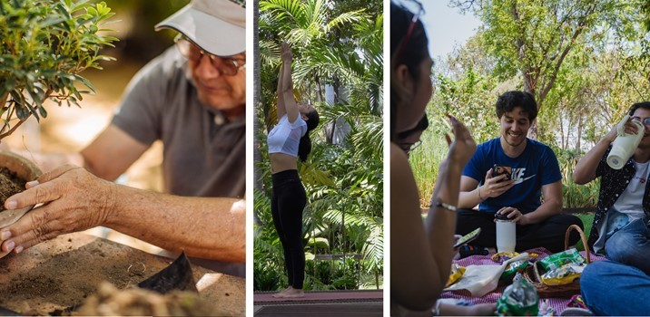 Disfruta el verano en Jardín Botánico Culiacán