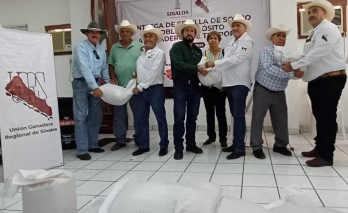  Entrega la Unión Ganadera 900 bolsas de semillas de sorgo en Mazatlán