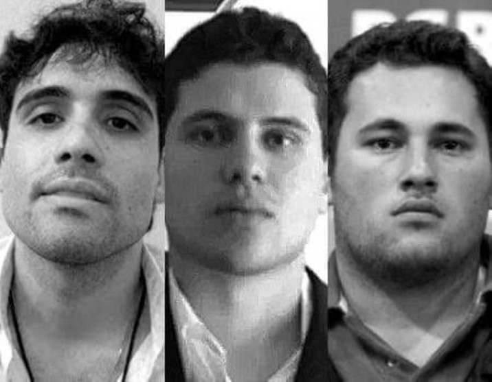 Investigación de la DEA con los "Chapitos" no espanta inversión extranjera, asegura Gaxiola Coppel