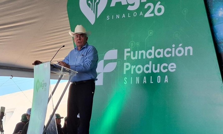 Presentarán antes del 15 de marzo apoyo para maíz en Sinaloa