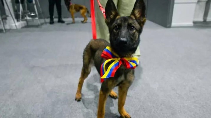Venezuela dona cachorra al Ejército Mexicano como gesto de agradecimiento