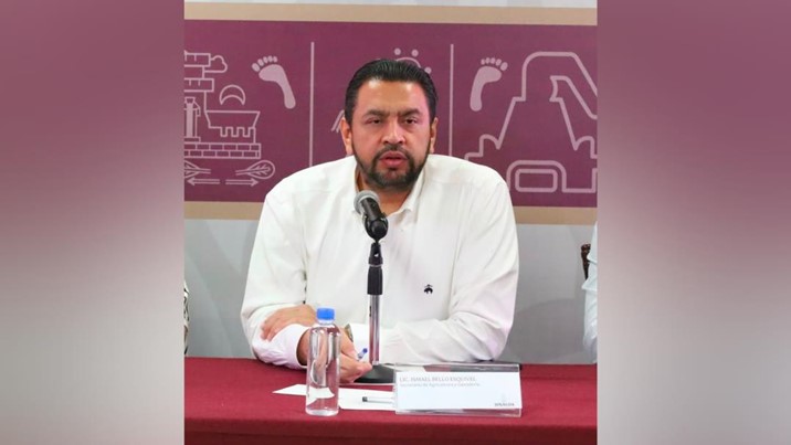 SADER abre registro para pagar incentivos pendientes a trigueros sinaloenses