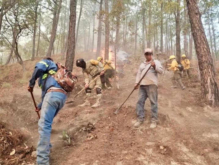 Siguen activos los incendios en Badiraguato; “no hay voluntarios” señala SEBIDES