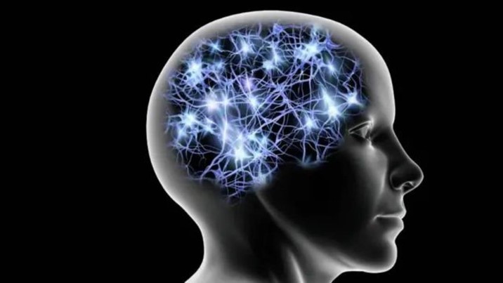El cerebro podría reforzar convulsiones mientras dormimos, revela estudio
