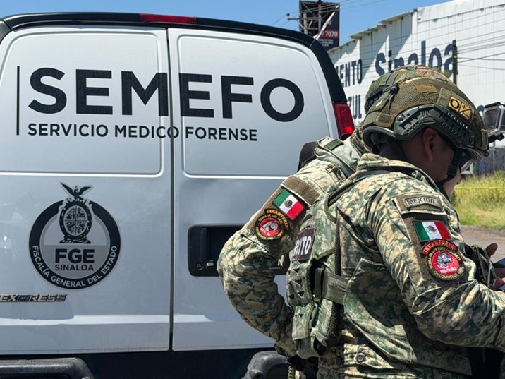 Muere hombre tras ser atacado por abejas en Costa Rica