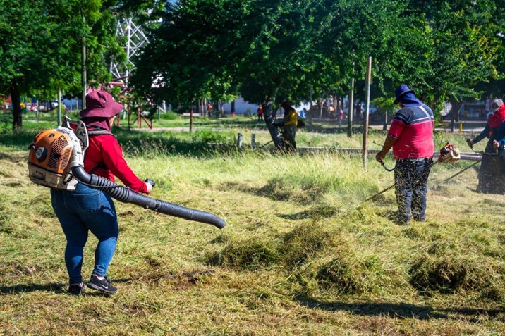 Brigadas municipales limpian camellones y avenidas para mejorar espacios públicos