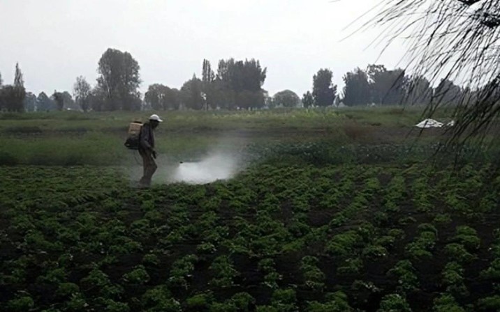 Contaminación por agroquímicos